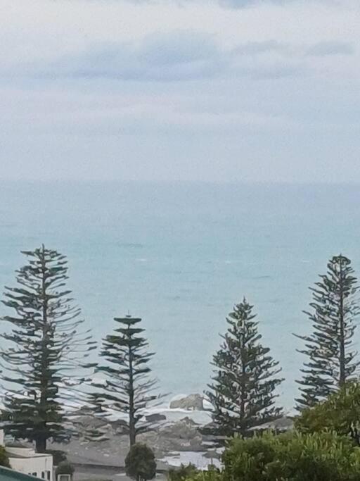 Bayviewonwhitby * Kaikoura